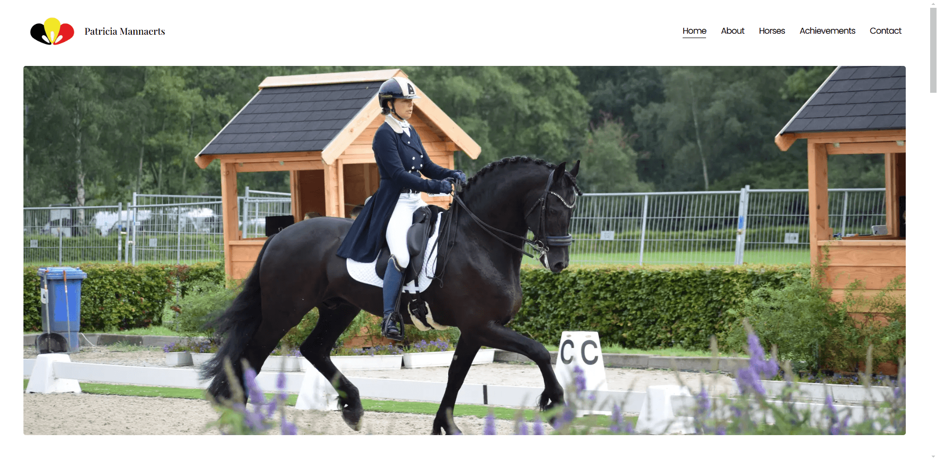 Friesian Dressage Image